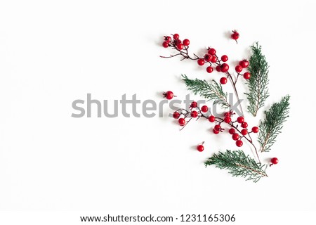 Christmas composition. Pattern made of christmas plants on white background. Flat lay, top view, copy space