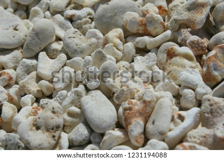 White Coral Beach