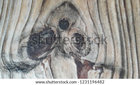 eyeballs of wood plank