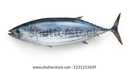 Japanese Katsuo fish (bonito, skipjack tuna) Royalty-Free Stock Photo #1231252609