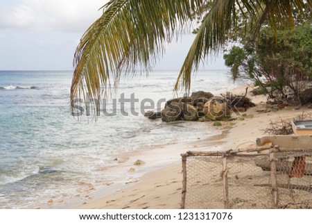 Beach in Barbados an island country in the Lesser Antilles, in the Caribbean region of North America