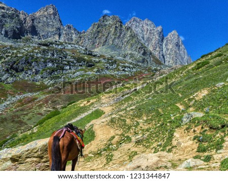 Alphine mountains In the Himalayas Royalty-Free Stock Photo #1231344847
