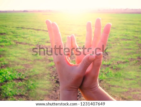 women's hands folded in mudras on the background of grass. sun flare.
