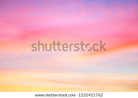 Sky in the pink and blue colors. effect of light pastel colored of sunset clouds
cloud on the sunset sky background with a pastel color.