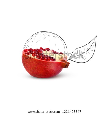 Fruit composition with fresh pomegranate and cartoon cute doodle drawing elements on white background. Creative minimalistic food concept. Royalty-Free Stock Photo #1231425547