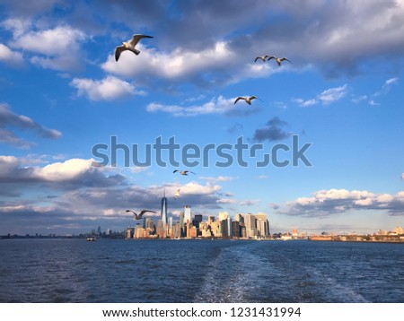 Panoramic view of Manhattan, New York, from the Staten Island ferry with blue sky and seagulls
