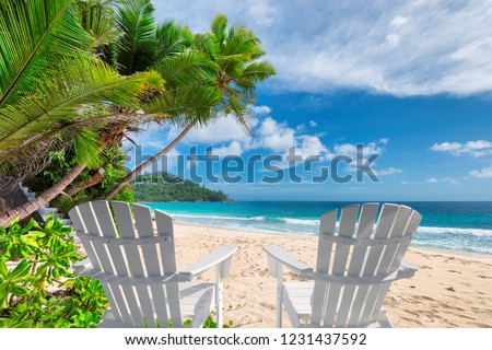 Beach chairs on beautiful sandy beach with palm and turquoise sea on Jamaica Paradise island. 