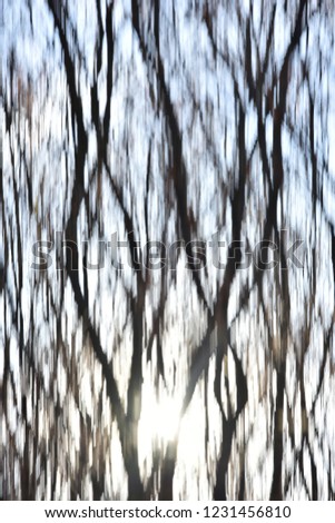 Nature abstract background with forest in autumn, Dobrogea land, Romania. Motion blur creative photo.