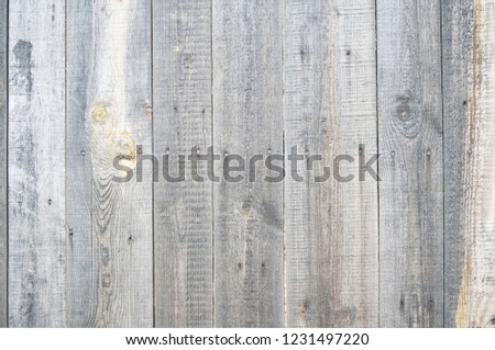              Beautiful wooden white background for design, banner and layout.                                                