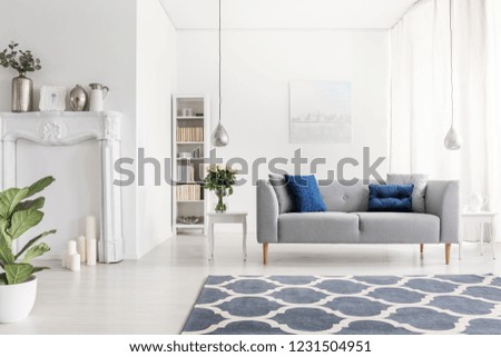 Symmetry in design of luxury new york style living room with elegant grey couch white furniture and patterned carpet,