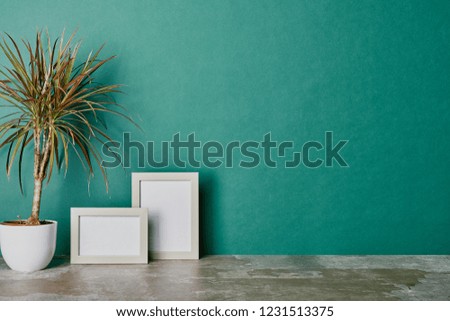 Plant in flowerpot and photo frames on green background