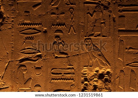 Ancient egyptian stone carvings on the walls of Luxor Temple in Egypt, with pictures of owl, eye, pharaoh figures and hieroglyphs symbols