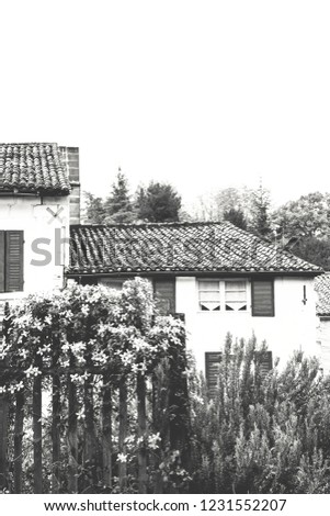 French countryside. Typical stone house with wooden shutters and tiles roof hiding in blooming garden. Old times concept. Black and white photo.