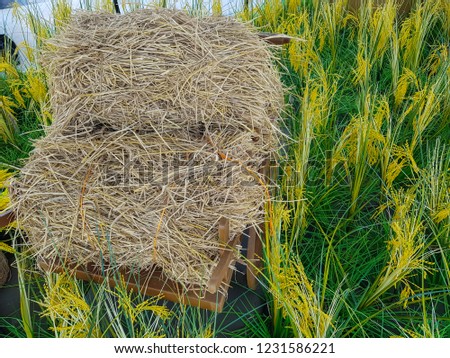 Hay is placed on vintage wood cart and artificial ear of rice surround