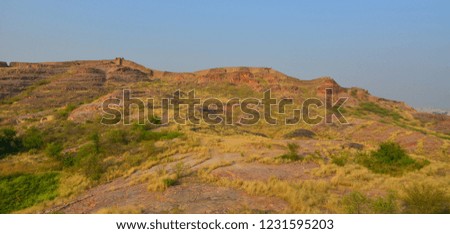 Grass hill at sunny day in Jodhpur, Rajasthan, India.