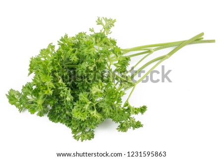 Fresh parsley green leaves (Petroselinum crispum) isolated on white background Royalty-Free Stock Photo #1231595863