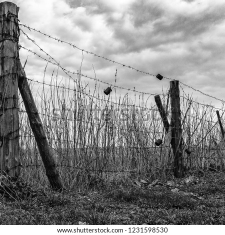 barbed wire, World War II, Belarus