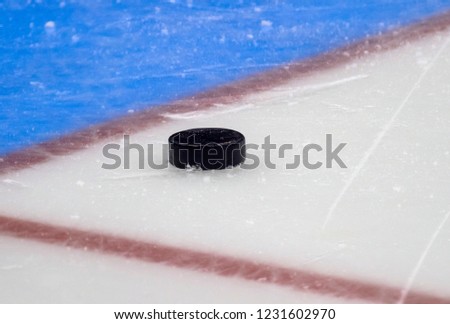 Hockey puck stand on side on goal line. Close view
