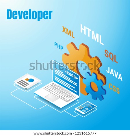 Developer and Programmer workspace concept, vector illustration.