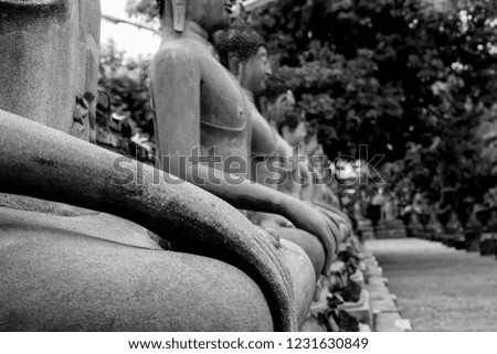Close up Sitting Buddha row and blur background in temple
