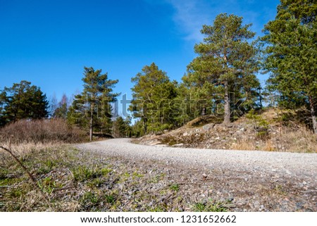 rocky coastline in Finland with few pine trees and calm water in summer