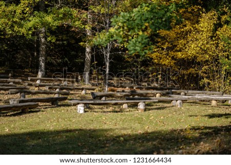old wooden bench by the water in forest in autumn colors