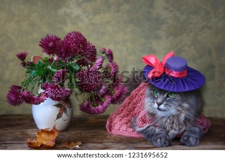 Still life with bouquet of  a purple chrysanthemums and beautiful kitty