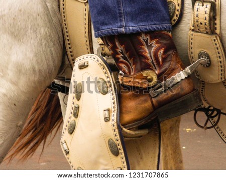 Personal detail riding the horse, Peon, Rodeo, Country Party, typical Brazilian party
