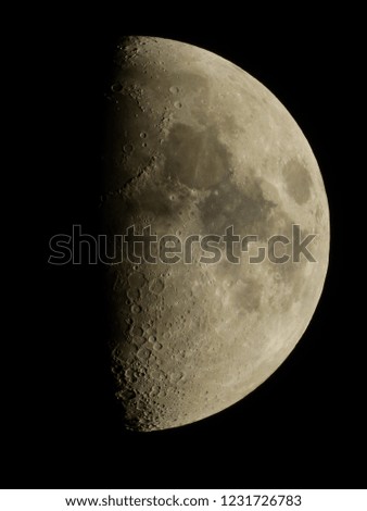 close up of Half moon