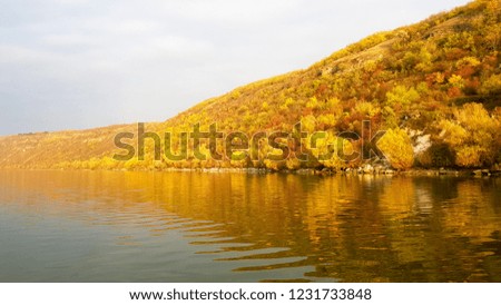 colorful forest on a hill near the river