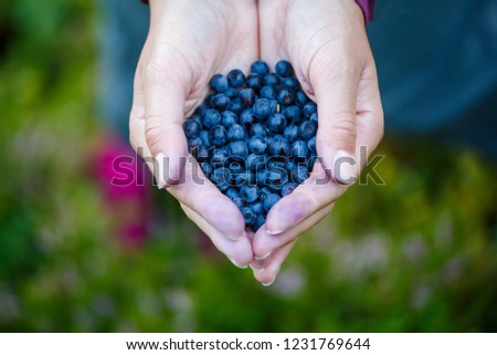Photo from above of man's hand with blueberry