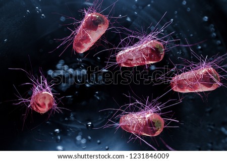 Escherichia coli also known as Ecoli bacteria health science concept Royalty-Free Stock Photo #1231846009