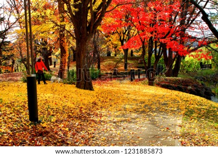Landscape of a woman walking with a dog at Hokkaido, Sapporo, autumn Nakajima Park