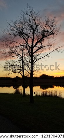 Silhouette of two trees in golden sunset with pink clouds, Lexington Lake Park, Johnson County, Kansas, fall 2018