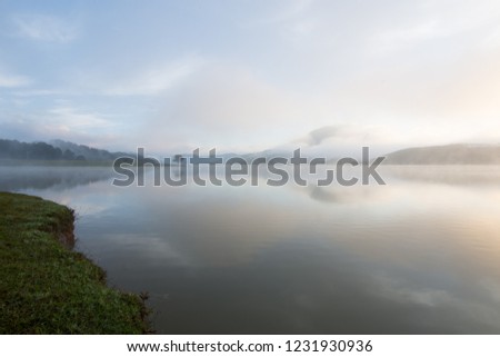 Lonely pine tree reflection on the lake at dawn with dense fog and magic sky and clouds background