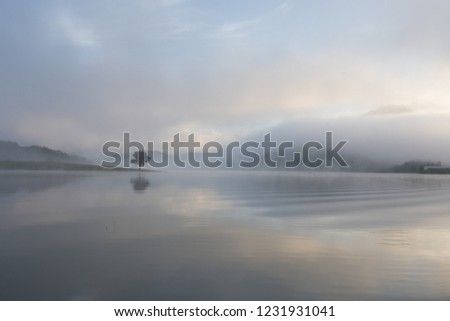 Lonely pine tree reflection on the lake at dawn with dense fog and magic sky and clouds background