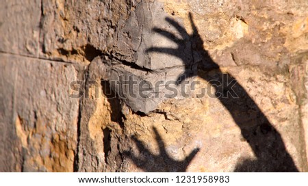 Strange shadow of two hands on an old stone wall. Black shadow, female hand. Background, texture, cropped shot, vertical, abstraction. Concept of fears.