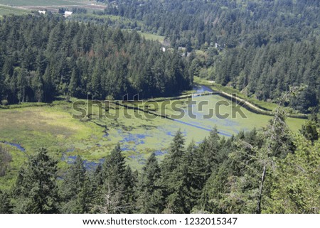 An aerial view of a shallow lake and trees