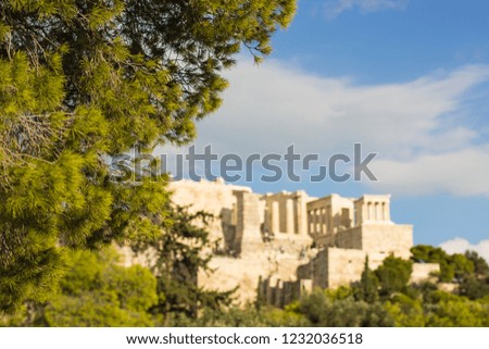 tourism agency banner wallpaper concept of pine tree foreground with soft focus branches and needles and unfocused background ruins of ancient antique temple heritage place, copy space