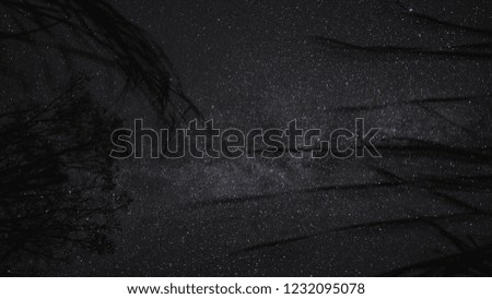 View of the starry sky from grass