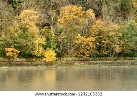 Hide Tide & Autumn Colours in the Avon Gorge, Bristol, UK