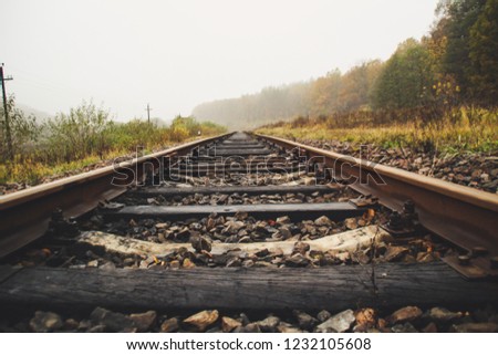 The old thrown track. Rust The forgotten road in the woods. Forest. Autumn and Fog. A mystical place.