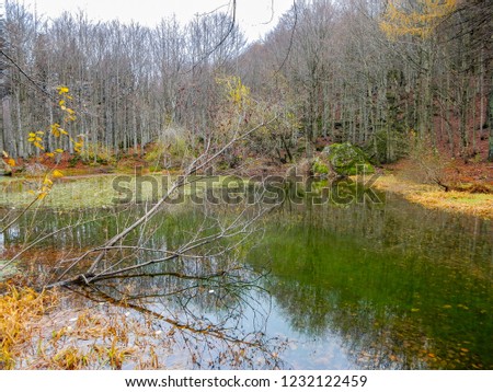 Autumnal landscape of Penna lake, a small mountain pond on Penna Mount, in the Aveto Regional Natural Park, Italy.