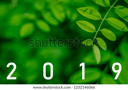 New year 2019 concep, inscription 2019 on a bright green background with a variety of plants. for greeting card, banner, placard or poster. 