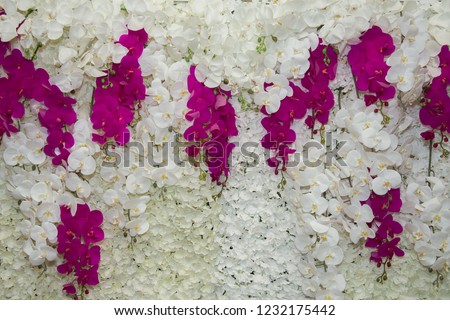 Artificial Orchid  background. Elegant style floral.flowers bed for  wedding