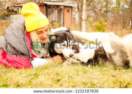 Girl in a sign cap in two Husky. Sleeping bag Mountains Travel from Husky. Two dog.