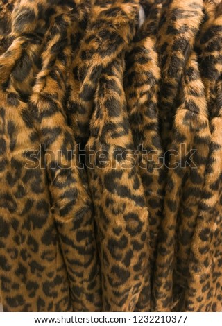 Leopard fur black dot on brown jacket on hanger background