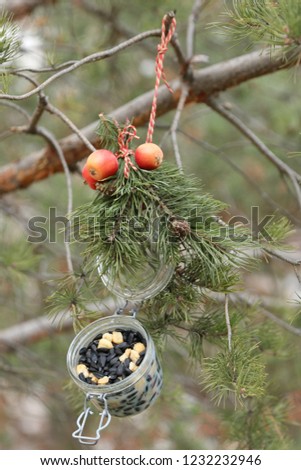 Home made bird feeder with seeds on tree, vertical photo, outdoor and space
