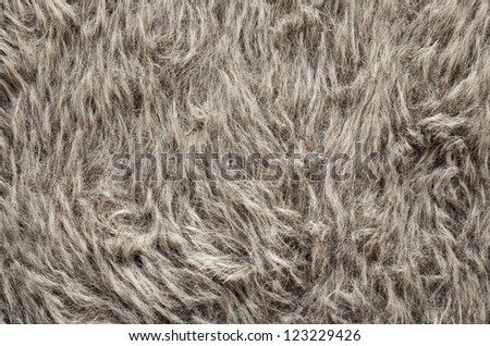 Gray fur texture, close-up. Useful as background
