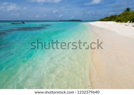 Tropical beach, The Maldives